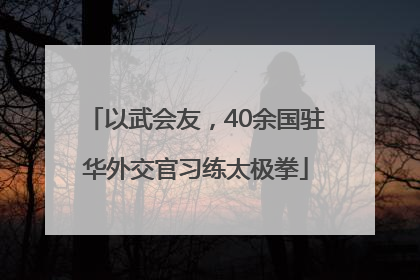 以武会友，40余国驻华外交官习练太极拳