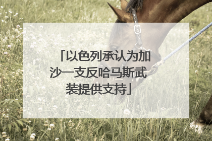 以色列承认为加沙一支反哈马斯武装提供支持