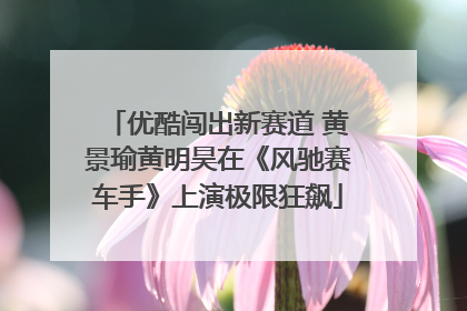优酷闯出新赛道 黄景瑜黄明昊在《风驰赛车手》上演极限狂飙