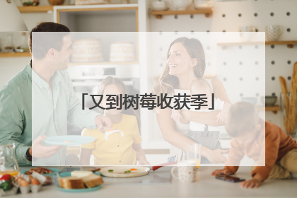 又到树莓收获季