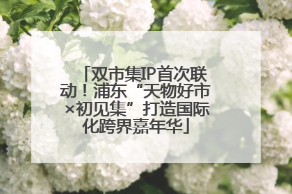 双市集IP首次联动！浦东“天物好市×初见集”打造国际化跨界嘉年华