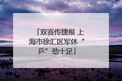 双赛传捷报 上海市徐汇区军休“乒”劲十足