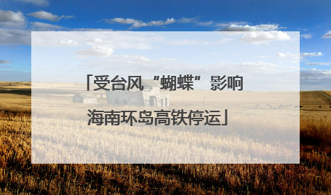 受台风“蝴蝶”影响 海南环岛高铁停运