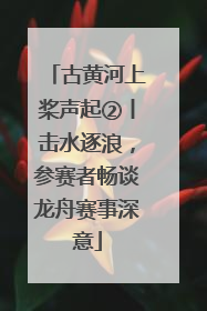 古黄河上桨声起②丨击水逐浪，参赛者畅谈龙舟赛事深意