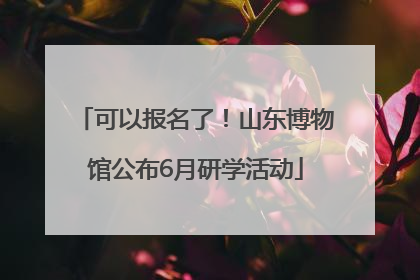可以报名了！山东博物馆公布6月研学活动