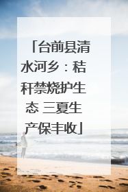 台前县清水河乡：秸秆禁烧护生态 三夏生产保丰收