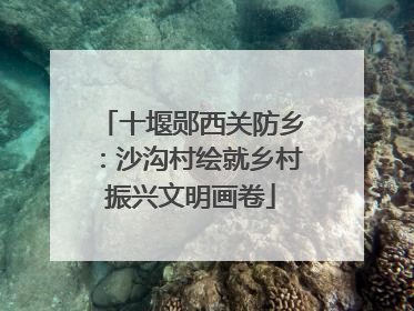 十堰郧西关防乡：沙沟村绘就乡村振兴文明画卷