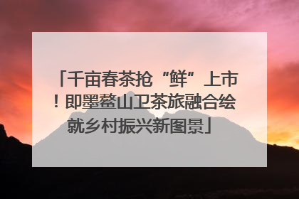千亩春茶抢“鲜”上市！即墨鳌山卫茶旅融合绘就乡村振兴新图景