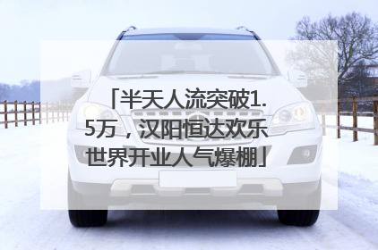 半天人流突破1.5万，汉阳恒达欢乐世界开业人气爆棚