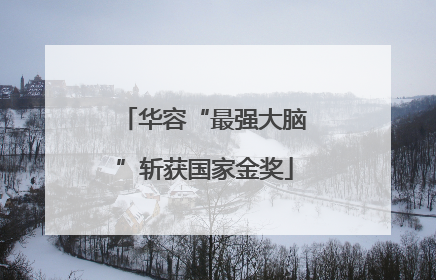 华容“最强大脑”斩获国家金奖