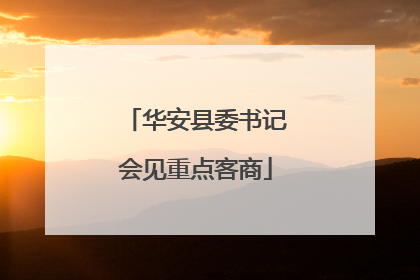 华安县委书记会见重点客商