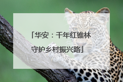 华安：千年红锥林守护乡村振兴路