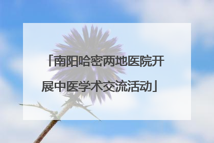 南阳哈密两地医院开展中医学术交流活动