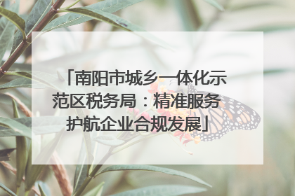 南阳市城乡一体化示范区税务局：精准服务护航企业合规发展