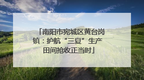 南阳市宛城区黄台岗镇：护航“三夏”生产 田间抢收正当时