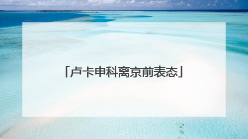 卢卡申科离京前表态