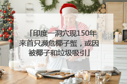 印度一洞穴现150年来首只濒危椰子蟹，或因被椰子和垃圾吸引