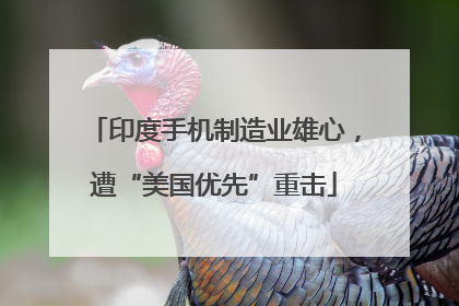 印度手机制造业雄心，遭“美国优先”重击