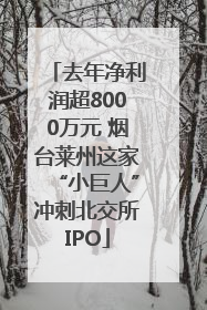 去年净利润超8000万元 烟台莱州这家“小巨人”冲刺北交所IPO