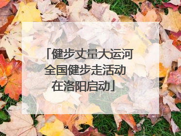 健步丈量大运河 全国健步走活动在洛阳启动