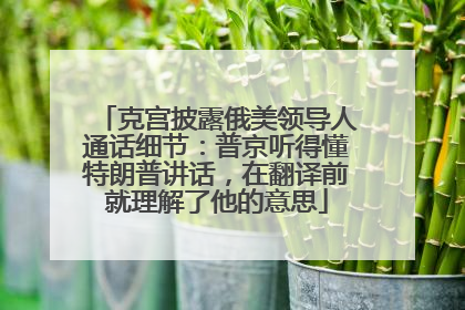 克宫披露俄美领导人通话细节：普京听得懂特朗普讲话，在翻译前就理解了他的意思
