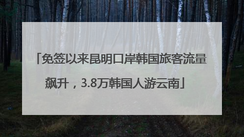 免签以来昆明口岸韩国旅客流量飙升，3.8万韩国人游云南