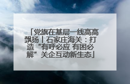 党旗在基层一线高高飘扬丨石家庄海关：打造“有呼必应 有困必解”关企互动新生态