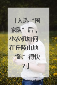 入选“国家队”后，小农机如何在丘陵山地“跑”得快？