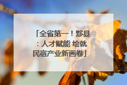 全省第一！黟县：人才赋能 绘就民宿产业新画卷