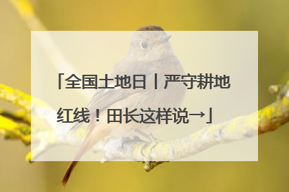 全国土地日丨严守耕地红线！田长这样说→