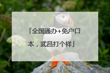 全国通办+免户口本，武昌打个样