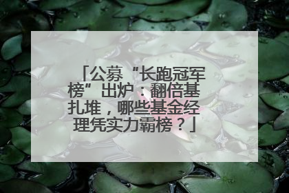公募“长跑冠军榜”出炉：翻倍基扎堆，哪些基金经理凭实力霸榜？