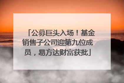 公募巨头入场！基金销售子公司迎第九位成员，易方达财富获批