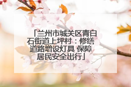 兰州市城关区青白石街道上坪村：修缮道路增设灯具 保障居民安全出行