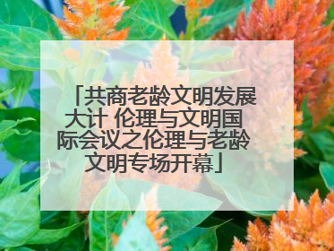 共商老龄文明发展大计 伦理与文明国际会议之伦理与老龄文明专场开幕