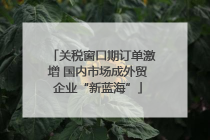 关税窗口期订单激增 国内市场成外贸企业“新蓝海”