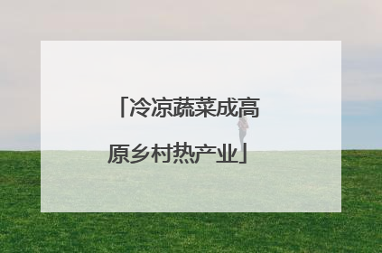 冷凉蔬菜成高原乡村热产业
