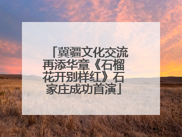 冀疆文化交流再添华章《石榴花开别样红》石家庄成功首演