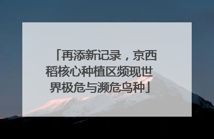 再添新记录，京西稻核心种植区频现世界极危与濒危鸟种