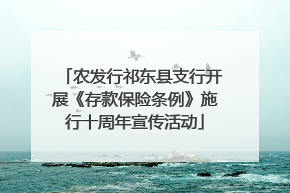 农发行祁东县支行开展《存款保险条例》施行十周年宣传活动