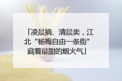 凌晨摘、清晨卖，江北“杨梅自由一条街”藏着最甜的烟火气