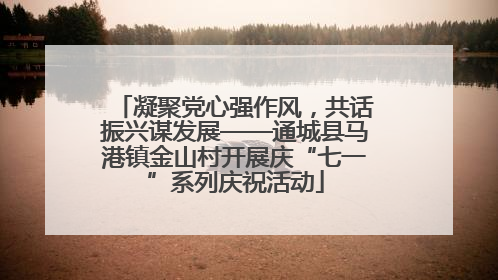 凝聚党心强作风，共话振兴谋发展——通城县马港镇金山村开展庆“七一”系列庆祝活动