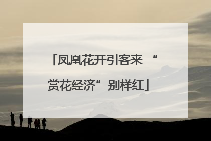 凤凰花开引客来 “赏花经济”别样红