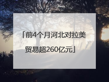 前4个月河北对拉美贸易超260亿元
