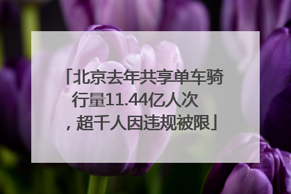 北京去年共享单车骑行量11.44亿人次，超千人因违规被限