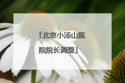 北京小汤山医院院长调整