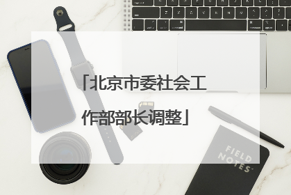 北京市委社会工作部部长调整