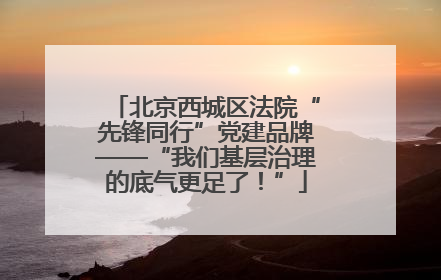 北京西城区法院“先锋同行”党建品牌——“我们基层治理的底气更足了！”