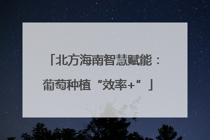 北方海南智慧赋能：葡萄种植“效率+”