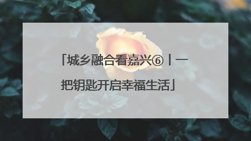 城乡融合看嘉兴⑥丨一把钥匙开启幸福生活